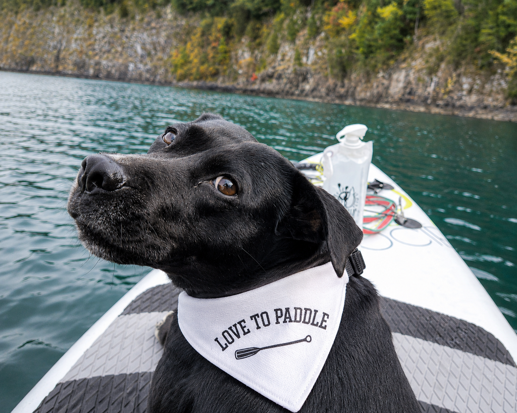Love to Paddle Clip-On Bandana
