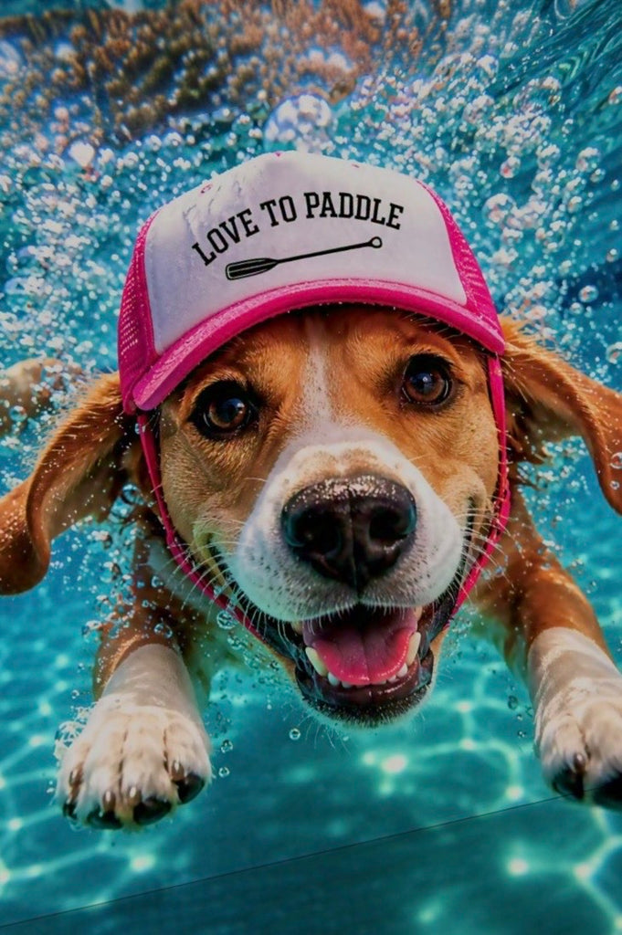 The Doggy Paddle Trucker
